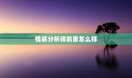 情感分析师前景怎么样，情感分析师工作怎么样