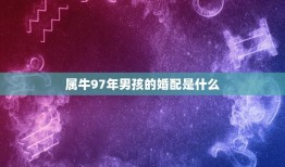 属牛97年男孩的婚配是什么(如何选择伴侣)