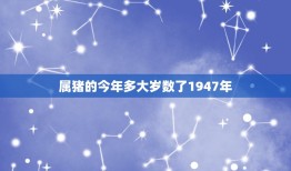 属猪的今年多大岁数了1947年(猪年出生的人现在多少岁)