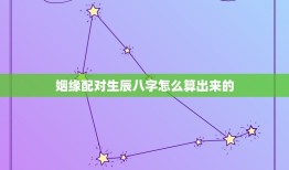 姻缘配对生辰八字怎么算出来的(解读命理学中的婚姻匹配)