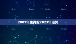 2001年生肖蛇2023年运势(未来三年财运旺盛但需注意人际关系)