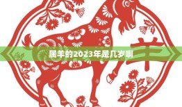 属羊的2023年是几岁啊(如何算出你的属相年龄)