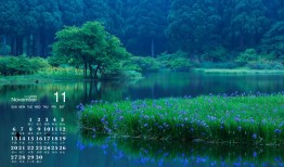 牛年男孩几月出生命运最好，2021牛年几月出生最好男孩