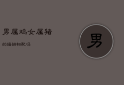 男属鸡女属猪的婚姻相配吗，属猪人离不开的两个贵人是谁