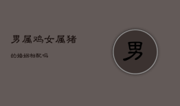 男属鸡女属猪的婚姻相配吗，属猪人离不开的两个贵人是谁