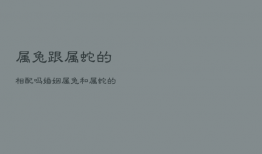 属兔跟属蛇的相配吗婚姻，属兔和属蛇的婚姻相配吗