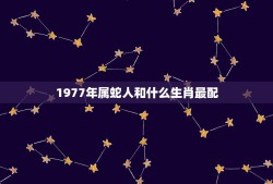 1977年属蛇人和什么生肖最配(寻找配对)