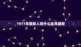 1977年属蛇人和什么生肖最配(寻找配对)