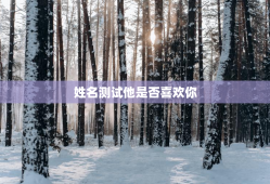 姓名测试他是否喜欢你，测测喜欢你的人姓什么