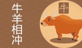 为什么牛羊相配是大忌，属羊的和属牛的婚姻是否相配了