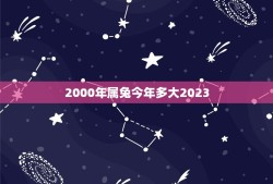 2000年属兔今年多大2023(属兔人的年龄计算方法介绍)