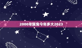 2000年属兔今年多大2023(属兔人的年龄计算方法介绍)