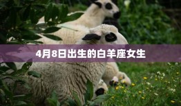 4月8日出生的白羊座女生(勇敢追梦的热情战士)