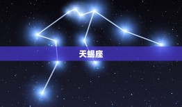 为了利益不择手段的星座(哪些星座最容易为了利益不择手段)