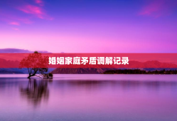 婚姻家庭矛盾调解记录，家庭纠纷调解记录20篇