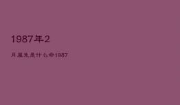1987年2月属兔是什么命，1987年2月的兔命运