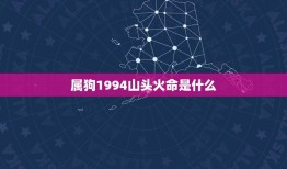 属狗1994山头火命是什么(介绍狗年出生的山头火命人的特点)