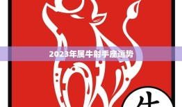 2023年属牛射手座运势(牛转运射手逆袭)