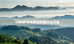 1986炉中火命适合做什么行业，炉中火命做什么行业比较旺
