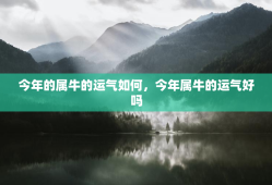 今年的属牛的运气如何，今年属牛的运气好吗