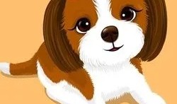 牛男虎女合适婚配吗知乎，请问男虎女牛结婚合适吗