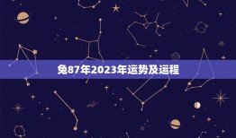 兔87年2023年运势及运程(详解兔年生肖的运势和未来发展方向)