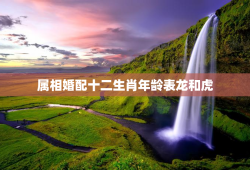 属相婚配十二生肖年龄表龙和虎，属相龙与属相虎相配吗