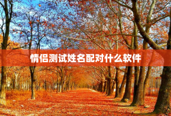 情侣测试姓名配对什么软件，情侣测试姓名配对什么软件好
