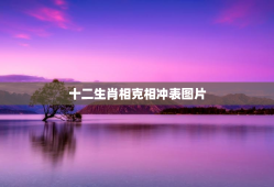 十二生肖相克相冲表图片，十二生肖相克相冲口诀