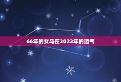 66年的女马在2023年的运气(未来运势如何)