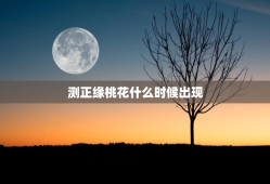 测正缘桃花什么时候出现，塔罗测正缘桃花何时出现