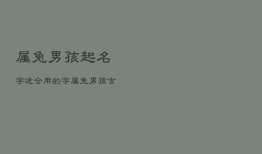 属兔男孩起名字适合用的字，属兔男孩吉祥名字大全2023年