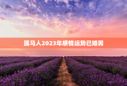 属马人2023年感情运势已婚男，属马2023年适合结婚吗