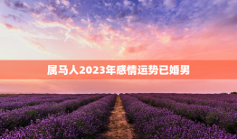 属马人2023年感情运势已婚男，属马2023年适合结婚吗