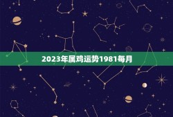 2023年属鸡运势1981每月(详解财运旺盛事业顺利)