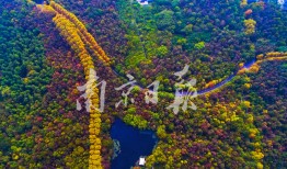 牛年双胞胎孩子取名，属牛的人取名字带什么好