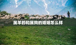 属羊的和属狗的婚姻怎么样(幸福美满还是坎坷不堪)