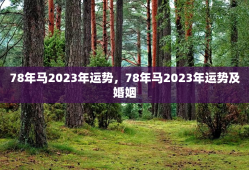 78年马2023年运势，78年马2023年运势及婚姻