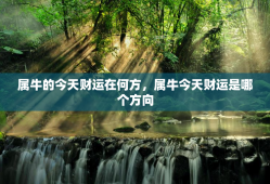 属牛的今天财运在何方，属牛今天财运是哪个方向