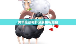 男羊应该和什么属相相结合(最佳配对指南)