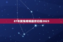 87年属兔婚姻最终归宿2023(如何预测婚姻走向)