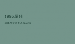 1995属猪姻缘与命运是怎样的，1995属猪的命运如何