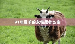 91年属羊的女性是什么命(解析属羊女性的命运如何)