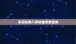 农历生辰八字排盘免费查询(详解八字的含义和分析方法)