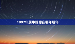 1997年属牛姻缘在哪年明年，1997年属牛姻缘在哪年明年会好