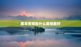 属羊男婚配什么属相最好，属羊男婚配什么属相最好呢