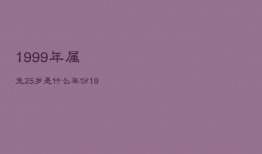 1999年属兔25岁是什么年份，1999年属兔22岁