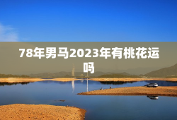 78年男马2023年有桃花运吗，78年属马男人2023年运势及运程