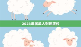 2023年属羊人财运正位(财富大丰收)