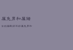 属兔男和属猪女的婚配好不好，属兔男和属狗女相配吗